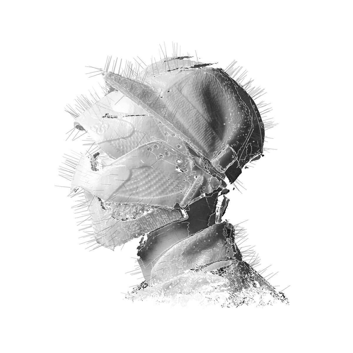 download simulation