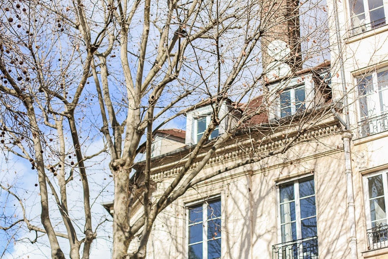 Paris La Mouette