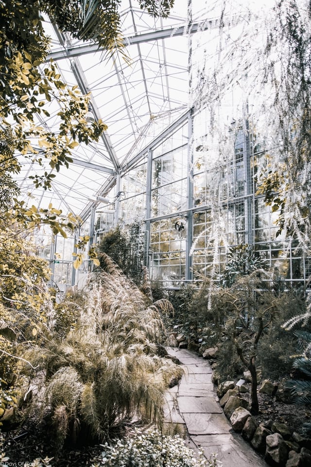 Hortus Botanicus Amsterdam