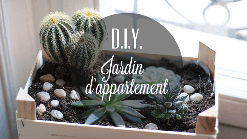 { DIY } Un jardin d’appartement dans une cagette