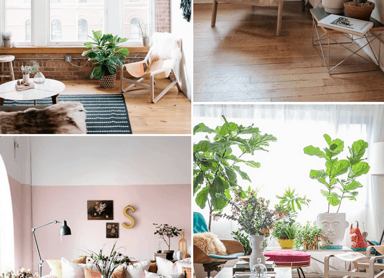 Home Inspiration #1 : des plantes dans votre intérieur