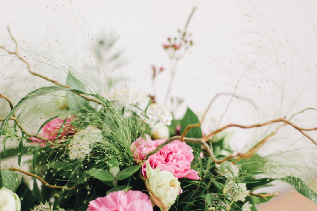 Rencontre avec Les fleurs d’Emilijolie