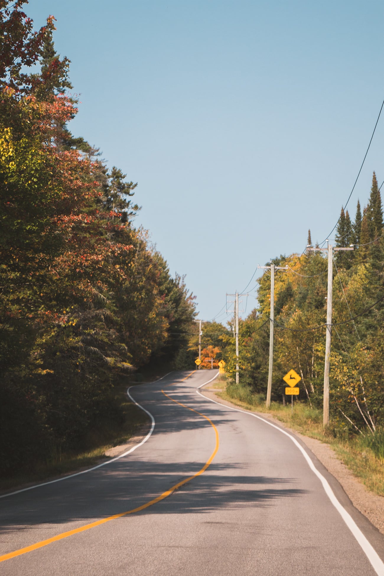 🍁 Carnet de bord Canadien #2 – Parc National du Mont-Tremblant & Lac Monroe