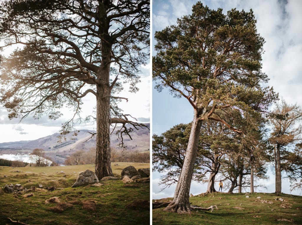 Écosse roadtrip travel scotland outlander craigh na dun - la mouette