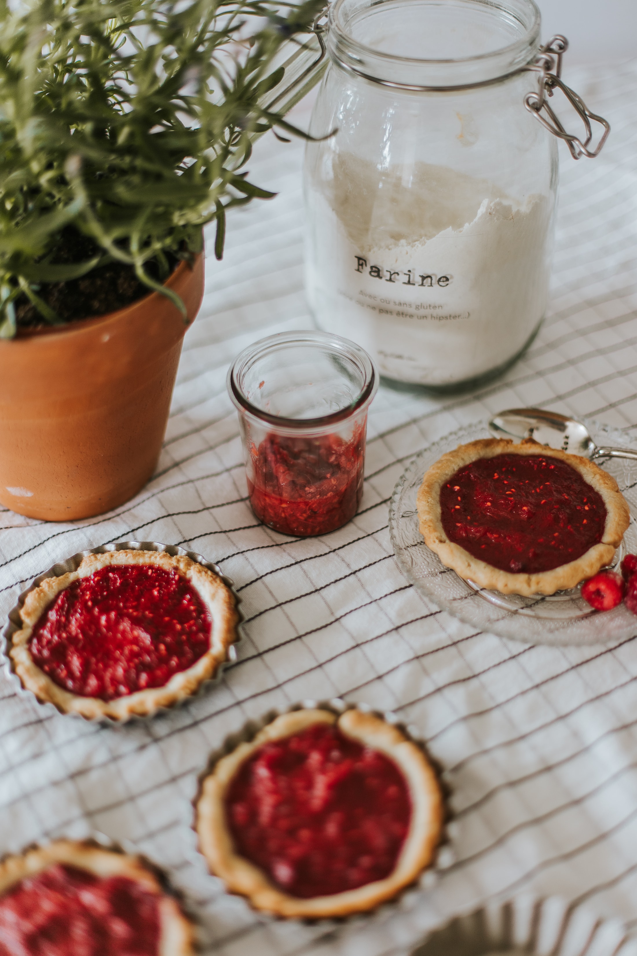 Tartelette vegan framboise & rhubarbe